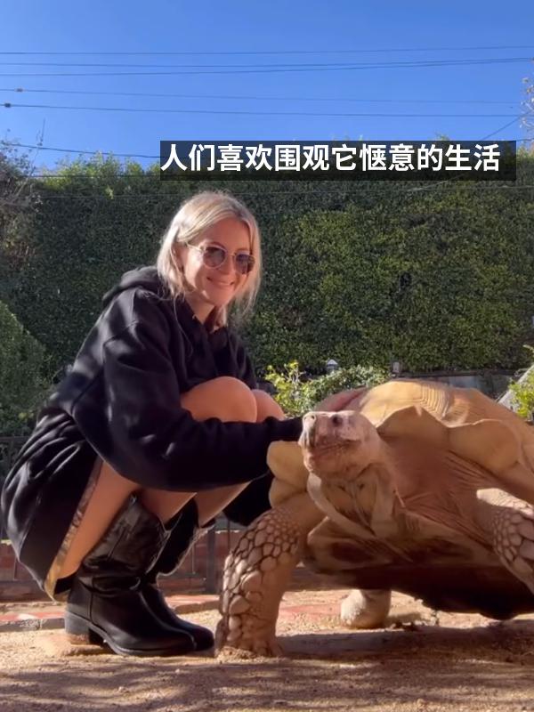 图片[6]-小姐姐养了20多年的龟龟成了大网红！网友：感觉它能送走几代人-萌番资讯网