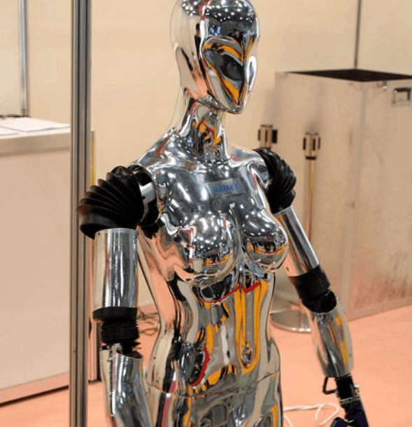 图片[2]-日本机器人售价揭秘：宣称功能全面，生育却成其局限？别太过乐观了-小师评