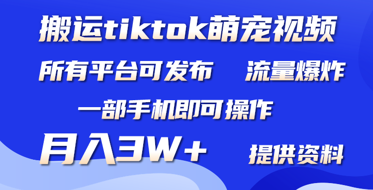 只搬运Tiktok萌宠类视频，1部手机即可。适合所有短视频平台均，月入3W+-小师评