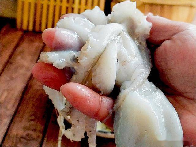 图片[3]-下章鱼的好吃做法，章鱼冷水下锅还是热水下锅？（章鱼简单做法）-小师评